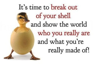 Break out of your shell