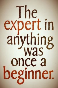 Expert and beginner