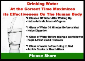 Drinking water times