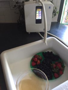 Cleaning Berries